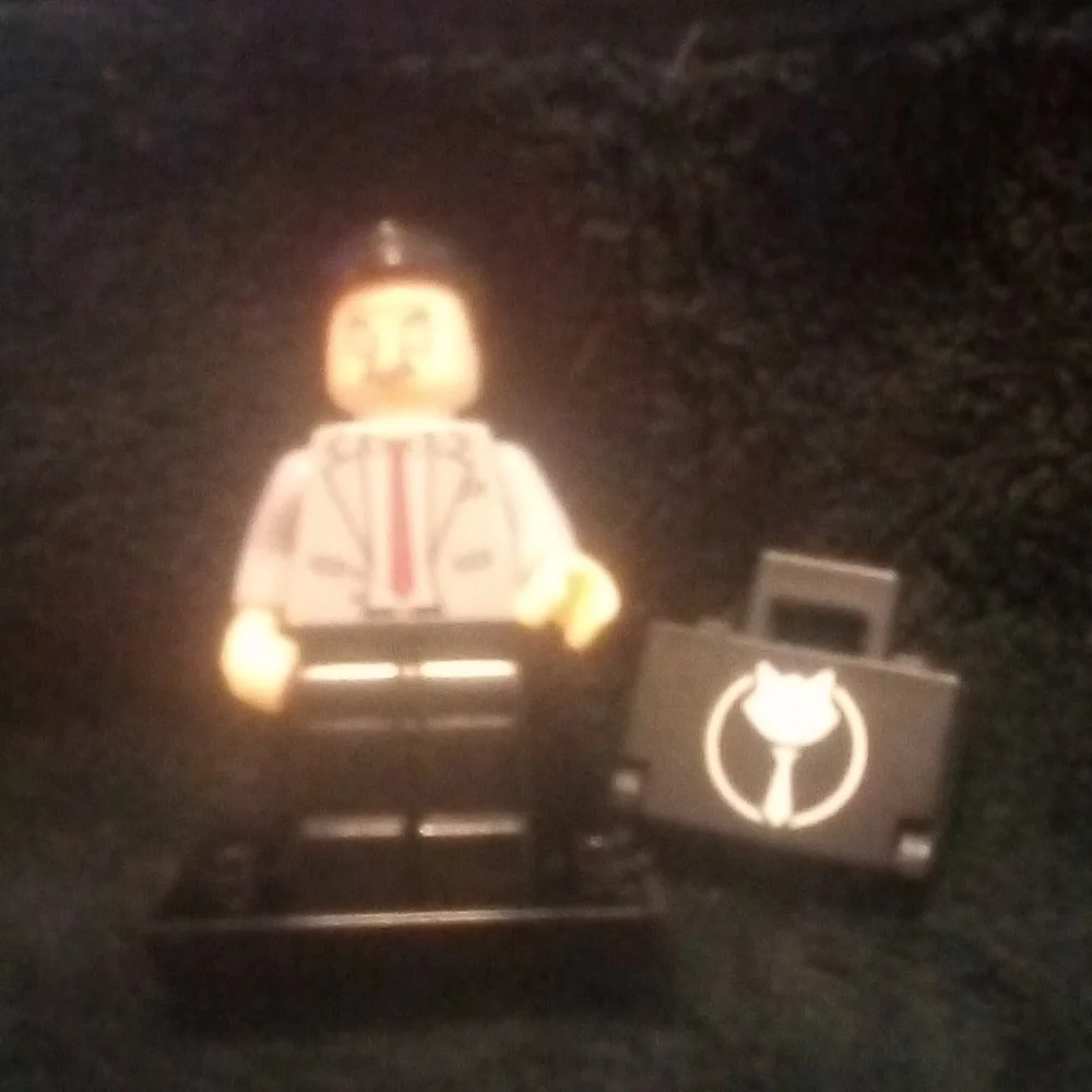 Custom Minifigure